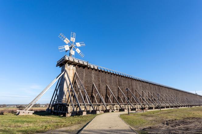 Tężnie