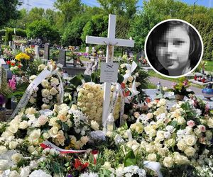 Tragedia 11-letniego Sebastiana. Porywacz wciągnął go do samochodu, a później zabił