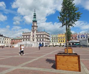 W tym mieście jest najładniejszy rynek zdaniem AI!