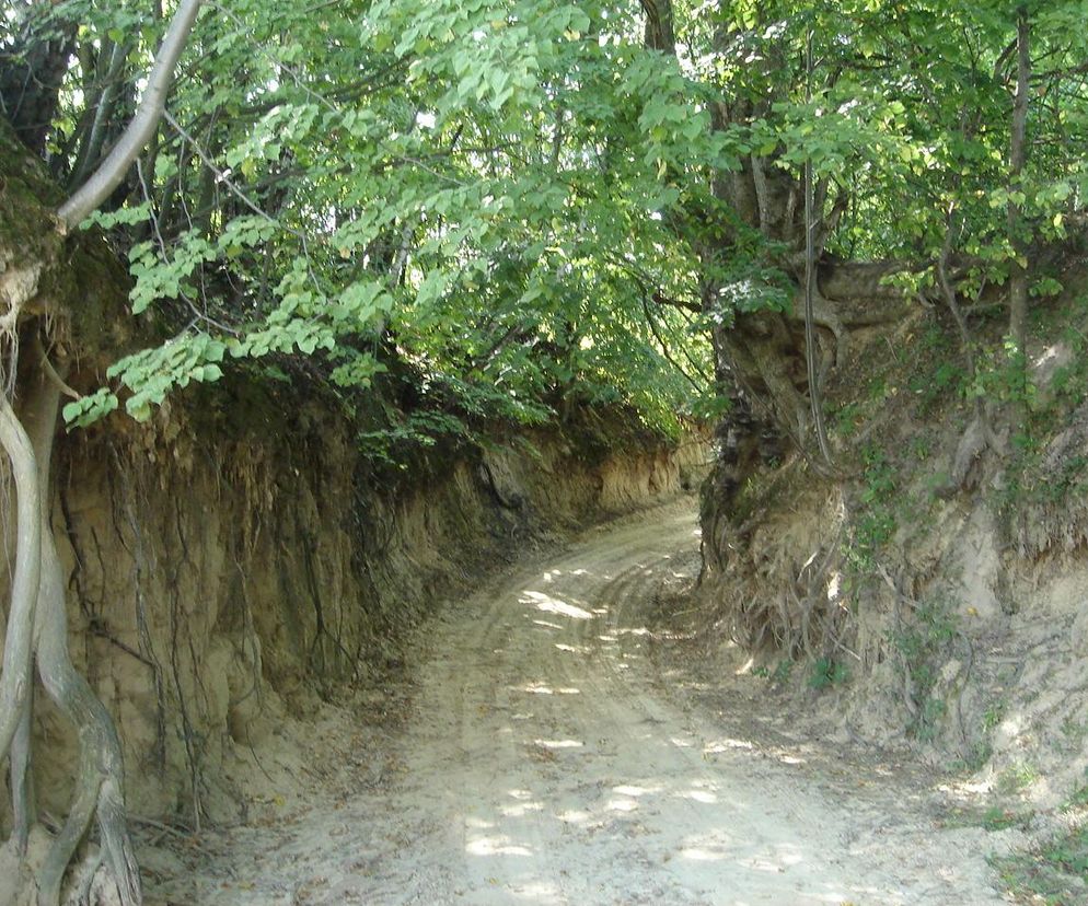 Szczebrzeszyński Park Krajobrazowy 
