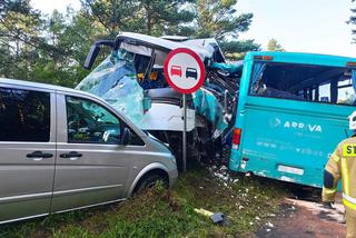 Dźwirzyno. Wypadek z udziałem dwóch autobusów. Kilkanaście osób jest rannych [ZDJĘCIA]