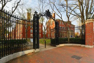 Wstrząs na Harvardzie! Zagraniczni studenci muszą opuścić uczelnię