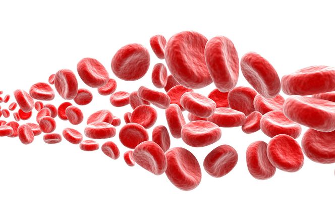 ANEMIA - przyczyny niedokrwistości