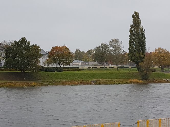 Grill nad Wartą