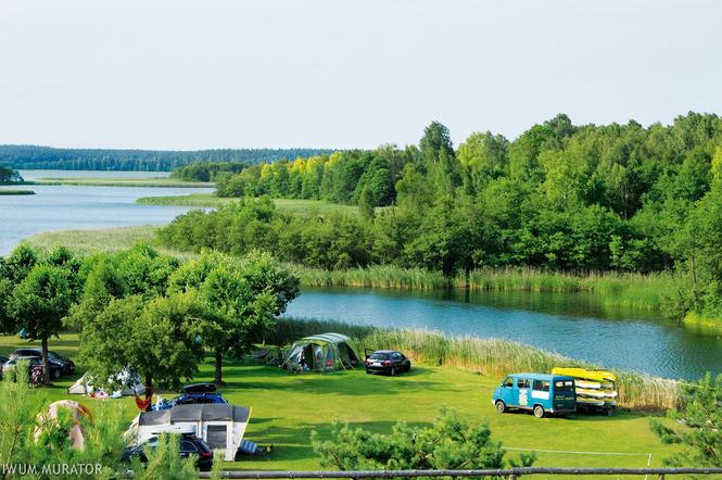 Skarby przyrody nad Biebrzą
