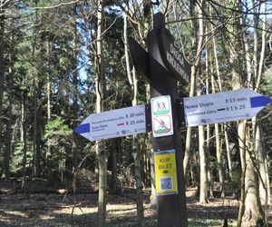 Nowa Słupia, Puszcza Jodłowa i Święty Krzyż