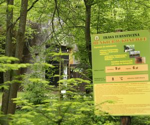To najpiękniejsza wieś w Łódzkiem według AI. Raj dla miłośników przyrody 