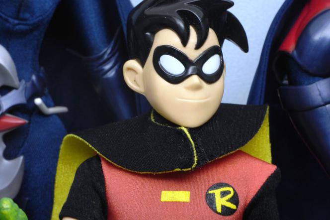 Robin
