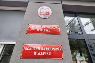 Nowe informacje o śmierci 2,5-latki. Adwokat matki zastępczej zabrał głos