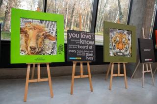 Akcja pomocy w łódzkim zoo. Dowiedz się, co możesz zobić!