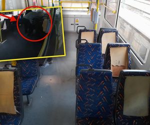 Totalna demolka w szczecińskim tramwaju! Prezydent w szoku: Niewiarygodne. Czegoś takiego chyba jeszcze nie było