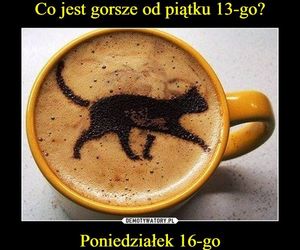 Zamiast pecha – salwy śmiechu! Piątek trzynastego na memach rozbraja [13.06.2025]
