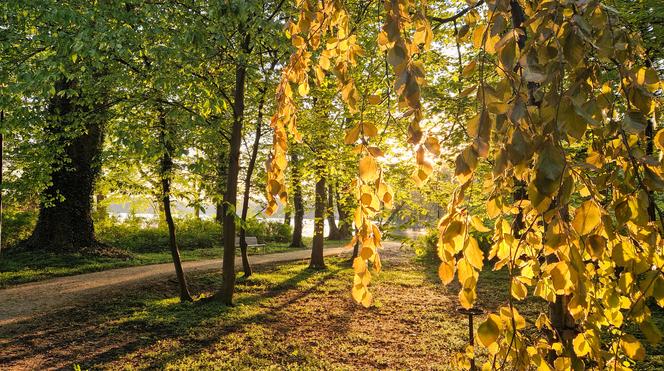 Park Miłości w Lubniewicach