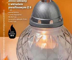 Znicze  i chryzantemy w Lidlu od 27.10
