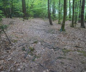 Góry Świętokrzyskie. Wiosna 2025