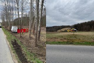 Dostawcze IVECO roztrzaskało się na drzewie. Nie żyje kierowca