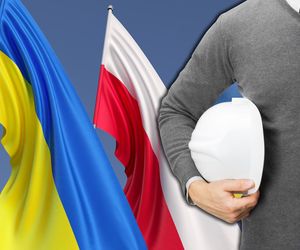 Ukraińcy dają Polsce więcej niż zabierają
